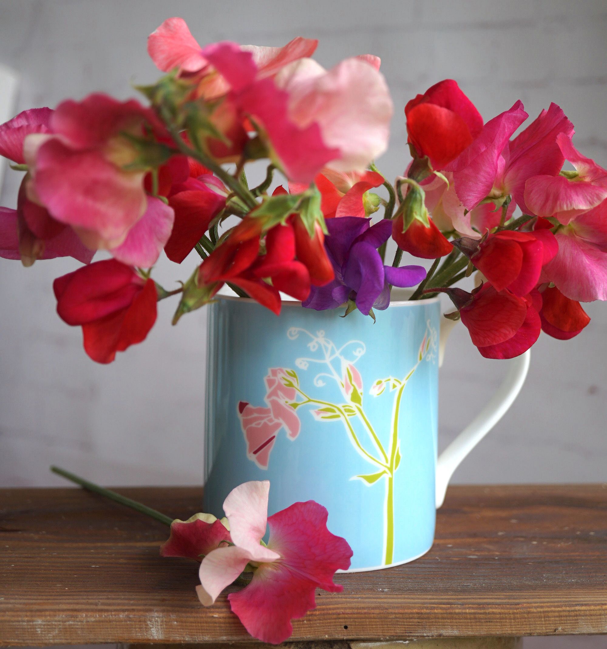 'Sweet pea' fine bone china flower mug made in England
