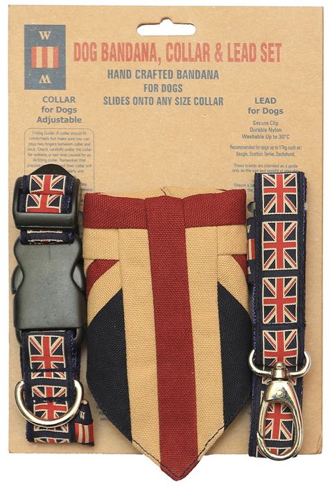 Set Of Dog Collar, Bandana and Lead