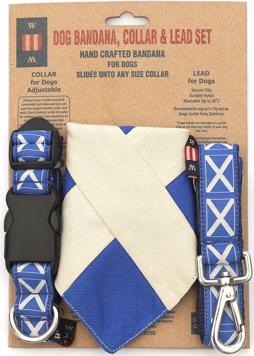 Set Of Dog Collar, Bandana and Lead