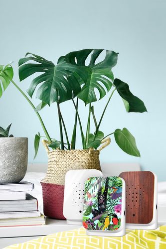 Jungle Box