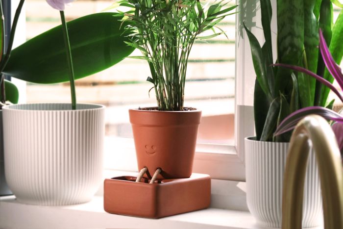 Self-Care Planter
