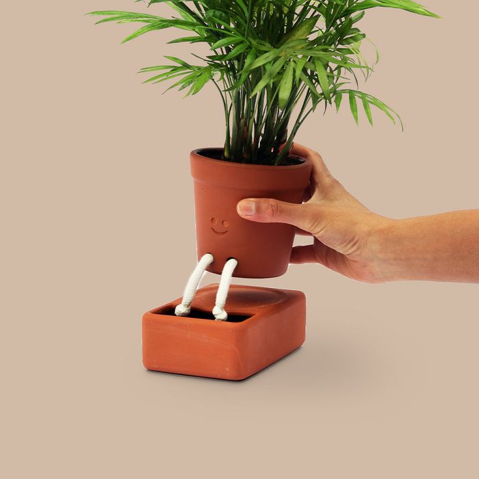 Self-Care Planter