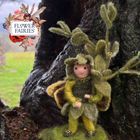 Flower Fairies Box Tree Fairy Needle Felt Kit