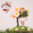 Flower Fairies Daisy Fairy Needle Felt Kit