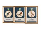 RSPB Needle Felt Picture Kits - 'The Iconic UK Species Collection'