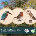 RSPB Needle Felt Picture Kits - 'The Iconic UK Species Collection'