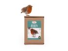 Robin Small Needle Felt Kit