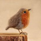 Robin Small Needle Felt Kit