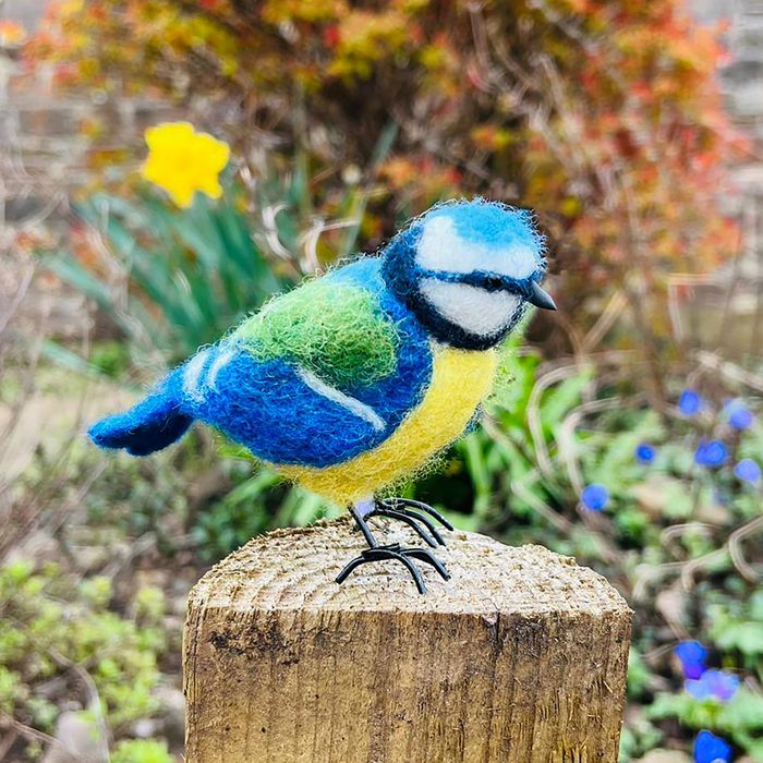 Blue Tit Small Needle Felt Kit