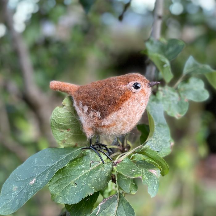 Wren Small Needle Felt Kit