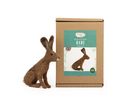 Hare Small Needle Felt Kit