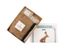 Hare Small Needle Felt Kit