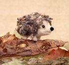 Curly Hedgehog Small Needle Felt Kit