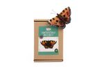 Tortoiseshell Butterfly Small Needle Felt Kit