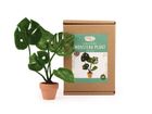 Monstera Plant Small Needle Felt Kit