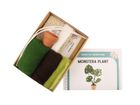 Monstera Plant Small Needle Felt Kit