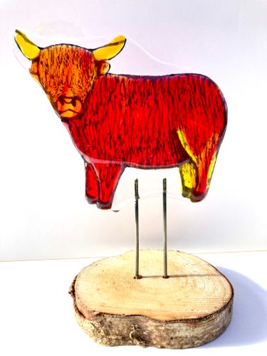 Fused Glass Highland Coo