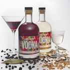 Classic Edition - The Florian Vodka blending kit