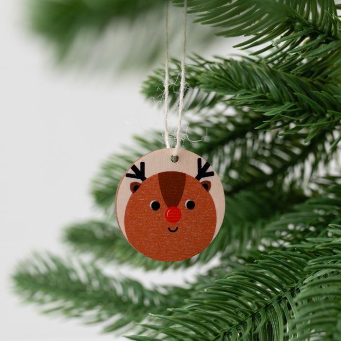 Rudolph Christmas Card