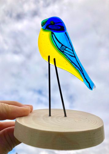 Bluetit