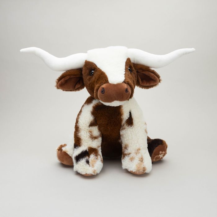 Texas Longhorn Cows