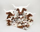 Texas Longhorn Cows
