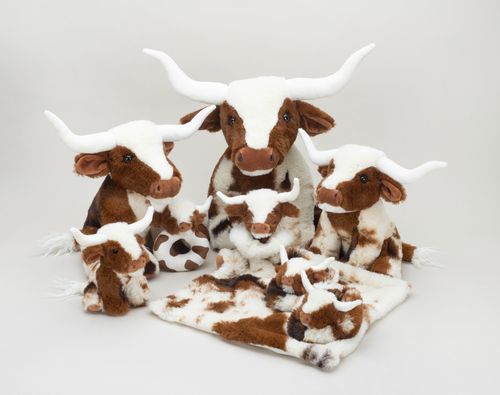 Texas Longhorn Cows