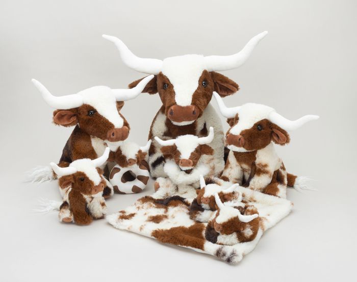 Texas Longhorn Cows