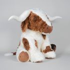 Huge Texas Longhorn Cow - Great for display & Marketing