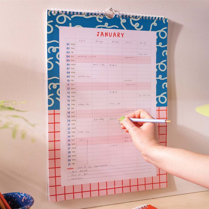 2025 Family Planner | Colour Flow | A3