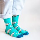 Numbat Socks | Bamboo Socks | Blue Socks | Australian Socks