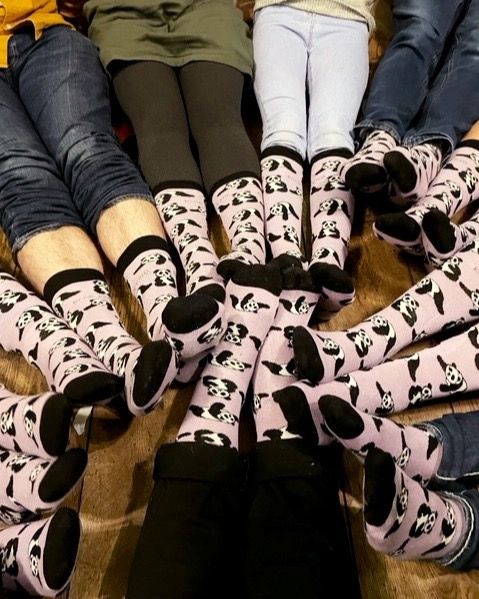 Panda Socks | Bamboo Socks | Lilac Socks | Asia Socks
