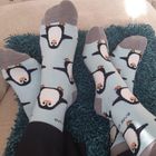 Penguin Socks | Bamboo Socks | Aqua Socks