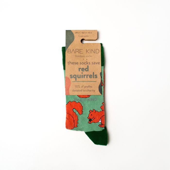 Red Squirrel Socks | Bamboo Socks | Light Green Socks