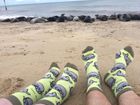 Seal Socks | Bamboo Socks | Summery Green Socks