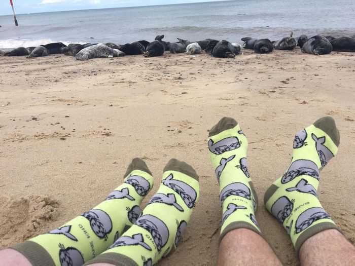 Seal Socks | Bamboo Socks | Summery Green Socks