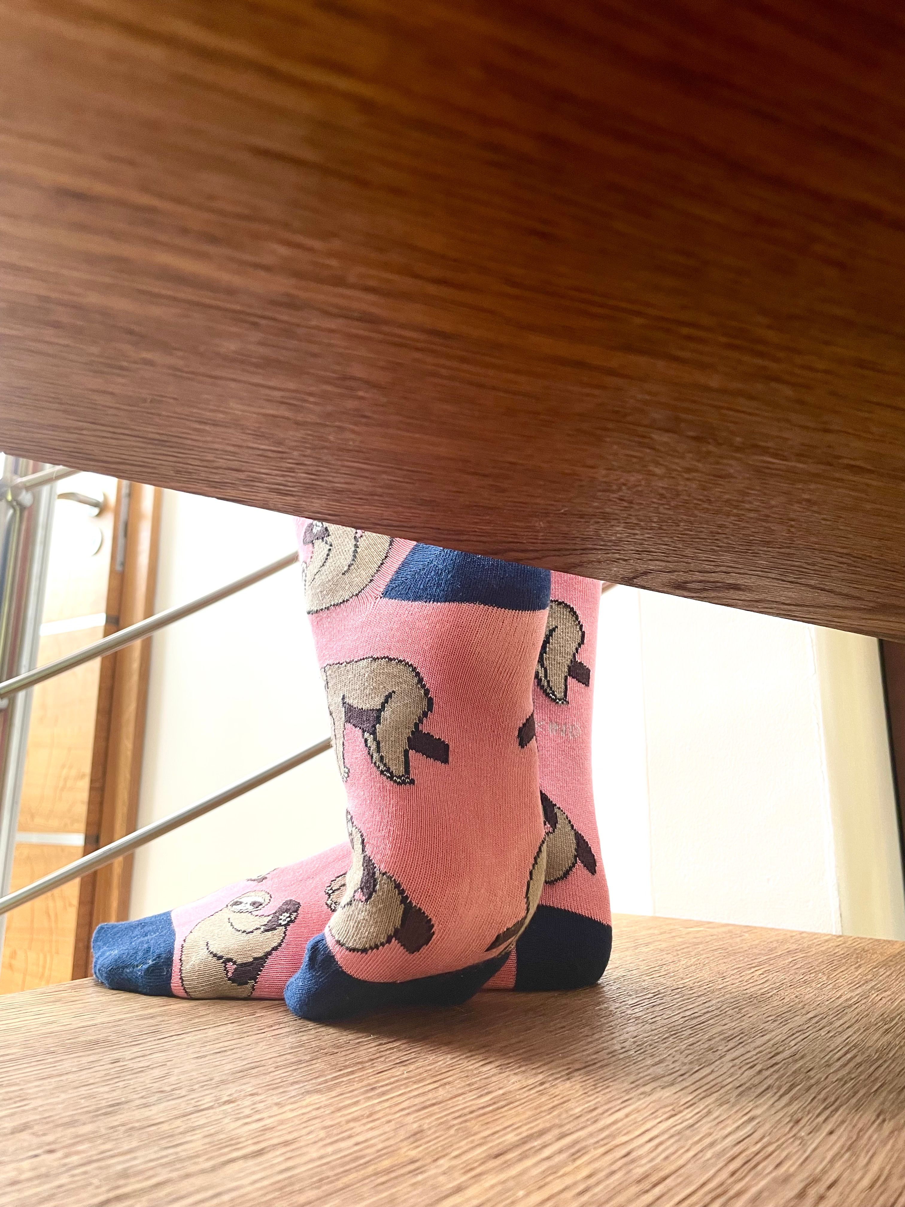 Sloth Socks | Bamboo Socks | Salmon Socks | Sleepy Socks