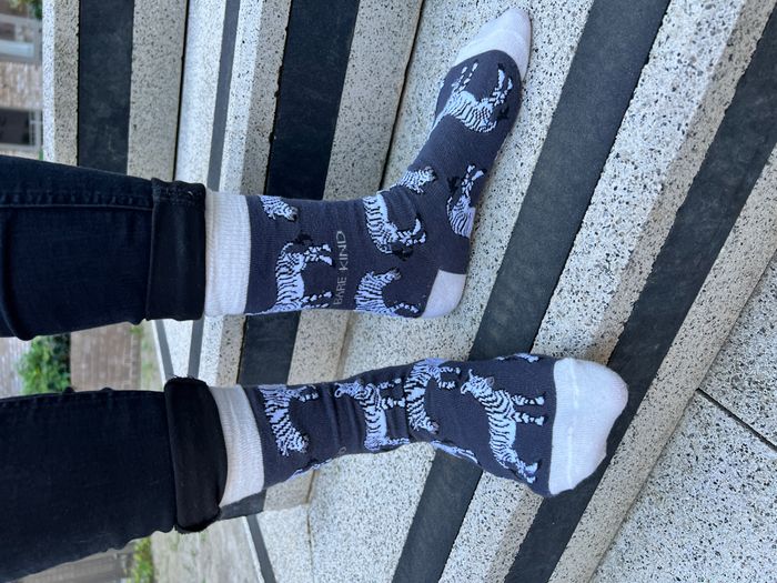 Zebra Socks | Bamboo Socks | Black Socks | Safari Socks
