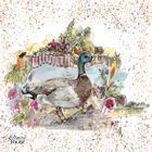 Bouquet Boots Collection 2