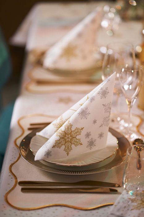 Christmas disposable tableware