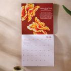 2025 Calendar | Mushroom