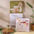 2025 Calendar | Mushroom