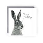Birthday Greeting Card Collection