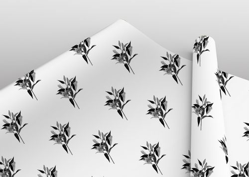 Gift Wrap
