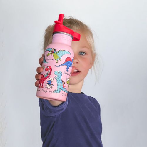Stainless Steel Drinking Bottle