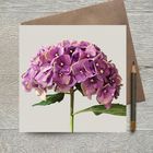 Botanical Golds - Gold Foiled