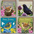 British Birds - Gold Foiled