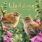 British Birds - Gold Foiled
