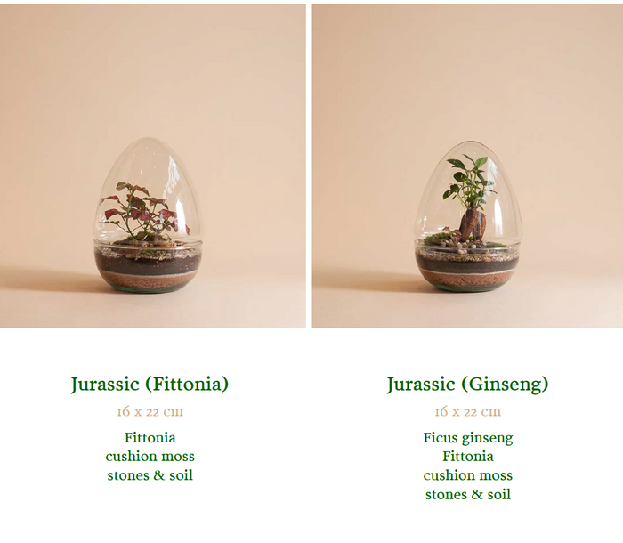 Jurassic Egg