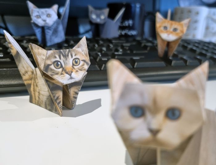 Paper Cats